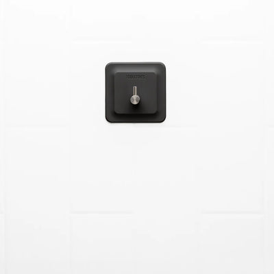 The Arnold Shower Hook